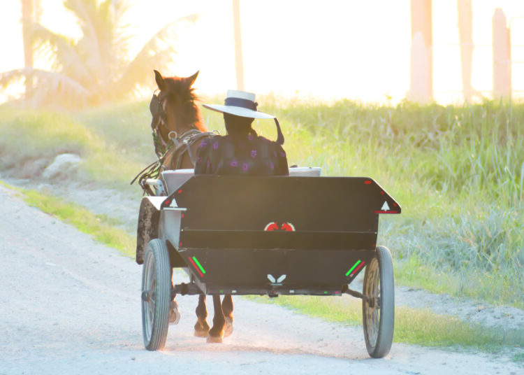 Toplumdan uzak durmaya çalışan Bolivya Mennonitleri