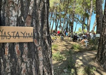 Bir ağacın gölgesine muhtaç olduğumuz gün