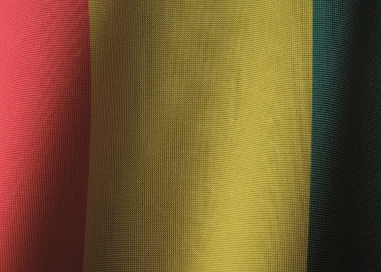 Maden zengini Gine’nin ‘gözde’ cuntası