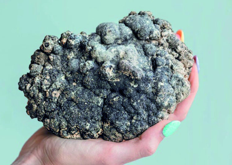 Tüm arzuların nesnesi: Derin deniz yatakları