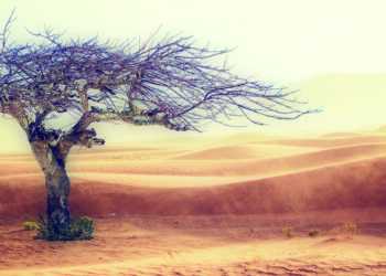 Mahşerin dört derecesi