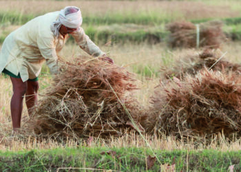Hintli çiftçilerin öfkesinde ikinci perde