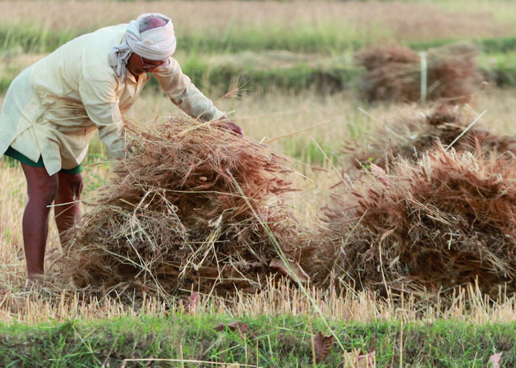 Hintli çiftçilerin öfkesinde ikinci perde