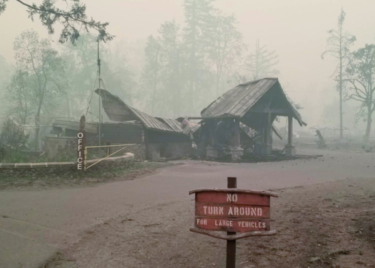 En risksiz sektör: Sigortacılık