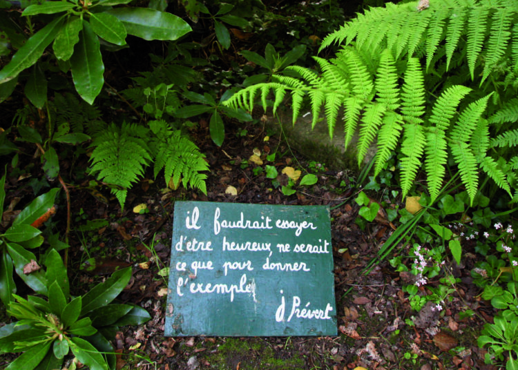 Mayıs ayının şairi: Jacques Prévert