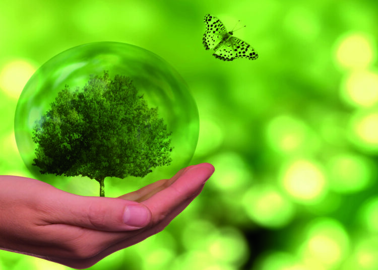 Kömürlü termik santraller: Ölümüne zarar