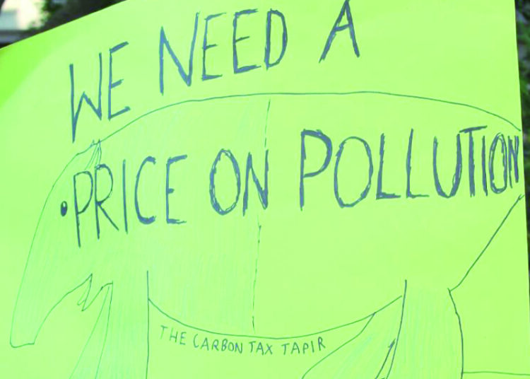 Karbon vergisi ve Türkiye gerçeği