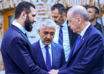 Türkiye’nin Kürt açılımı