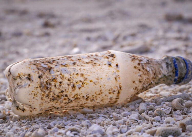 Türkiye’nin Kürt açılımı