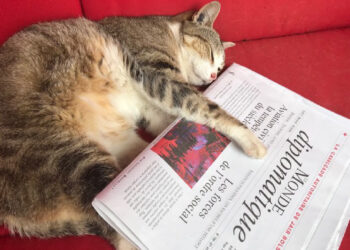 Türkiye’nin Kürt açılımı