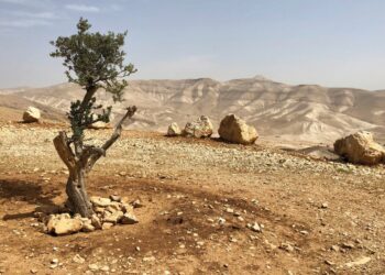 Sermayenin kalbine saplanan sosyalist