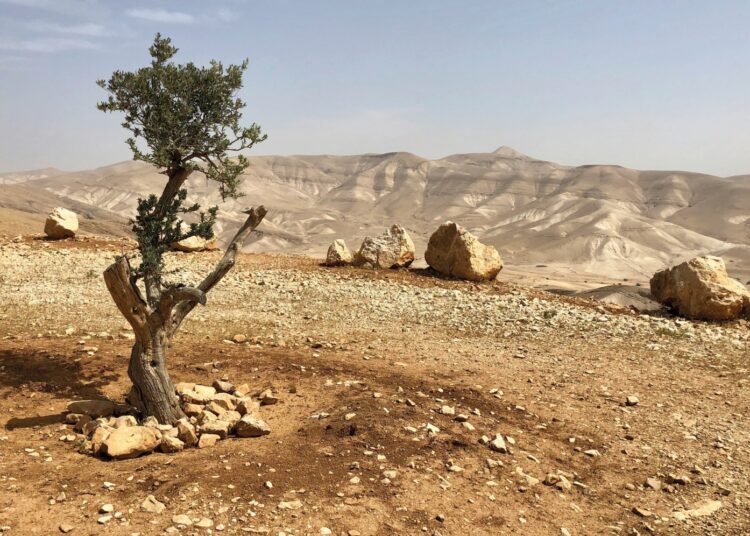 Sermayenin kalbine saplanan sosyalist