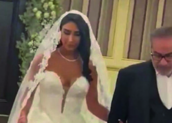 Otoriter teknoloji darbesi