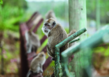 ABD, İsrail’i tartışıyor