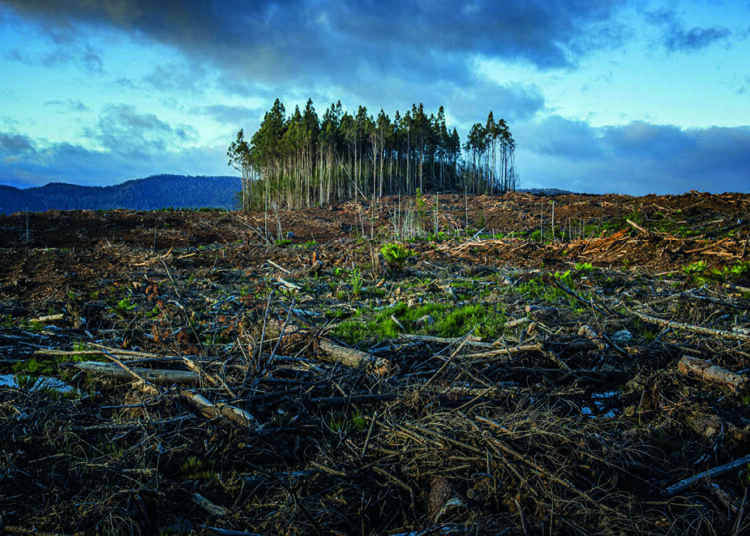 Dijital çağda gazete okumak ve kâğıda övgü