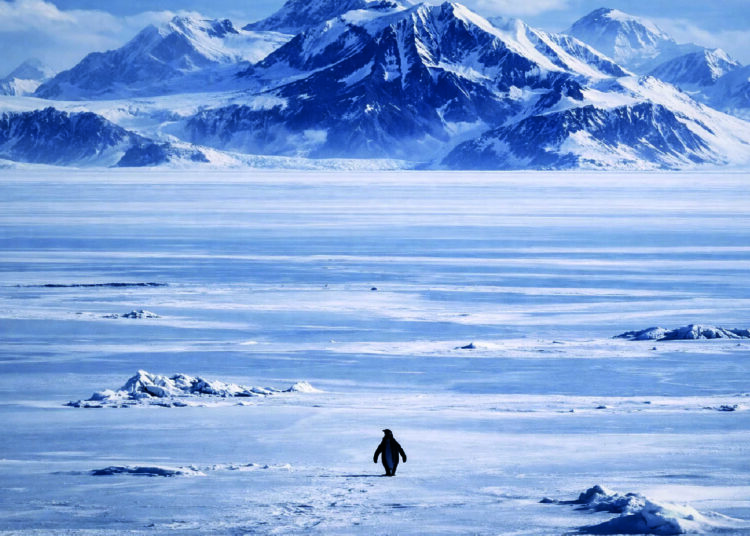 2026 büyük savaşın yılı mı?