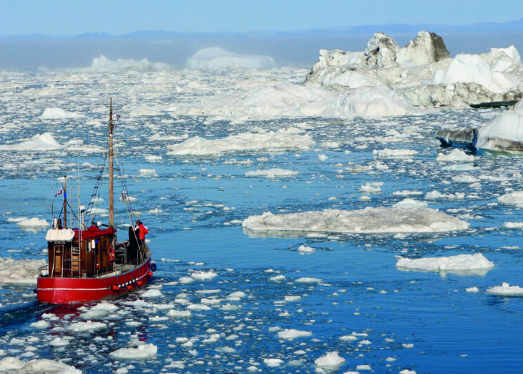 2026 büyük savaşın yılı mı?